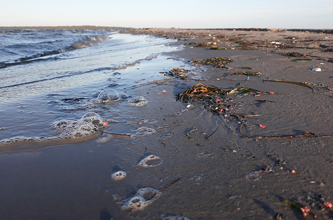 Zanieczyszczona plaża; NABU